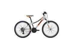 Giant XTC Jr 1 24 Kinderfahrrad 2018 | Gray