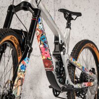 Riesel Design frameguard x protection