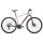 Giant Roam 1 Crossrad 2019 | Silver-Purered Matt