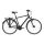 Giant Tourer GTS Urban/City Bike 2024 | Black-Blue Matt-Gloss