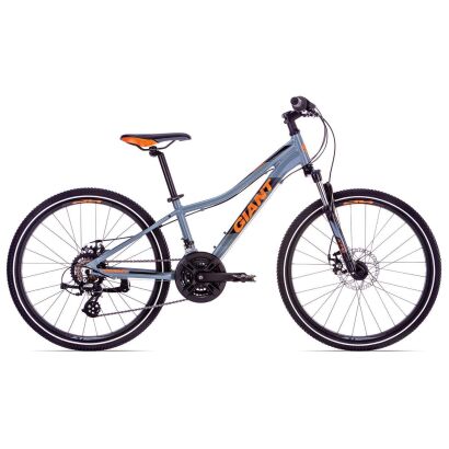 Giant XtC jr. Disc 24" Kinderrad 2019 | Grey-Neonred-Black