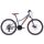 Giant XtC jr. Disc 24" Kinderrad 2019 | Grey-Neonred-Black