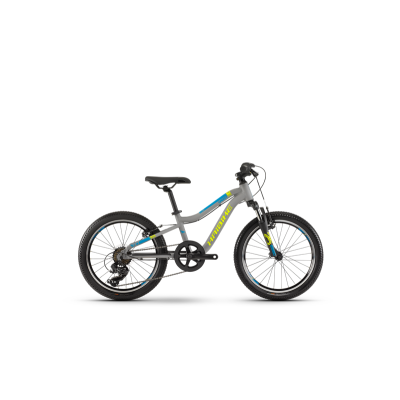 Haibike SEET Greedy 20 SF MTB Hardtail Kinderrad 2019 | Grau/Blau/Lime matt