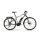 Haibike SDURO Trekking 3.0 Herren E-Bike 2019 | Grau/Weiß/Schwarz matt