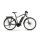 Haibike SDURO Trekking 4.0 Herren E-Bike 2019 | Grau/Schwarz/Grün