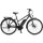 Winora Sinus Tria 8 Damen E-Bike 2019 | Dullgray matt
