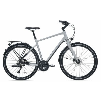 GIANT AnyTour RS 2 Trekkingrad 2020 | Magnesiumgrey Matt