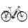 Haibike SDURO Trekking 2.0 Damen 500Wh E-Bike 10G Deo. 2020 | silber/schwarz/rot