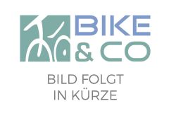 SHIMANO SCHALT-UND LEITROLLENSATZ RD-M8100