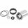 ELITE FREILAUF TURBO MUIN SHIMANO 10/11fach
