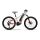 Haibike HardFour 400Wh E-Bike 9-G Altus 2021 | cool grey/red/cyan
