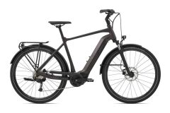 Giant AnyTour E+ 3 GTS Trekking Ebike 2021 | rosewood...