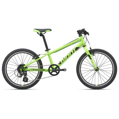 Giant ARX 20 Kinderrad 2021 | green