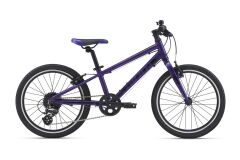 Giant ARX 20 Kinderrad 2021 | purple