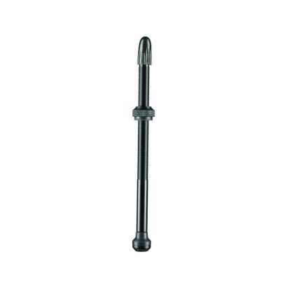 TUBELESS VENTIL (2ER-SET)100MM