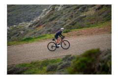 Liv Avail AR 1 All-Rounder Rennrad 2024 | Terracotta