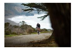 Liv Avail AR 1 All-Rounder Rennrad 2024 | Terracotta