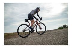 Liv Avail AR 1 All-Rounder Rennrad 2024 | Terracotta