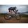 Liv Avail AR 1 All-Rounder Rennrad 2024 | Terracotta