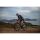 Liv Avail AR 1 All-Rounder Rennrad 2024 | Terracotta