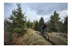 GIANT Trance X Advanced E+ 0 Pro 625Wh 29er E-Fully 2022 | Metallic Navy / Metallic Blue