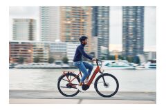 GIANT DailyTour E+ 2 D Sport 625Wh LDS City E-Bike 2025 | Amber Glow