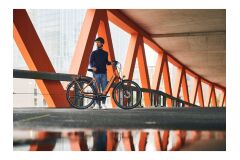 GIANT DailyTour E+ 2 D Sport 625Wh LDS City E-Bike 2025 | Amber Glow