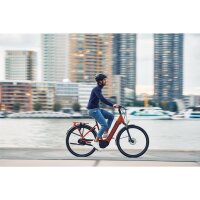 GIANT DailyTour E+ 2 D Sport 625Wh LDS City E-Bike 2025 | Amber Glow