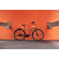 GIANT DailyTour E+ 2 D Sport 625Wh LDS City E-Bike 2025 | Amber Glow