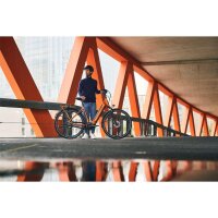 GIANT DailyTour E+ 2 D Sport 625Wh LDS City E-Bike 2025 | Amber Glow