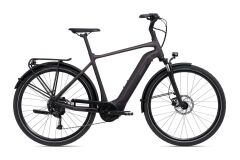GIANT DailyTour E+ 3 Sport 500Wh GTS City E-Bike 2025 | Rosewood