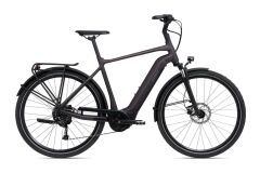 GIANT DailyTour E+ 3 Sport 500Wh GTS City E-Bike 2023 | Rosewood