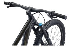 GIANT Trance X 1 29er Fully 2024 | Panther