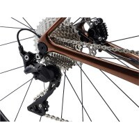 GIANT TCR Advanced 2 Rennrad 2024 | hematite