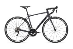 GIANT Contend 0 All-Rounder Rennrad 2024 | Gunmetal Black