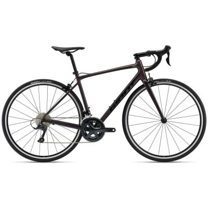 GIANT Contend 1 All-Rounder Rennrad 2023 | Rosewood