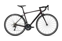 GIANT Contend 1 All-Rounder Rennrad 2024 | Rosewood