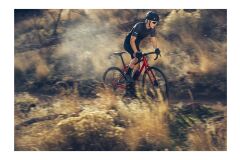 GIANT Revolt 1 Gravelbike 2024 | Grenadine