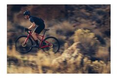 GIANT Revolt 1 Gravelbike 2024 | Grenadine