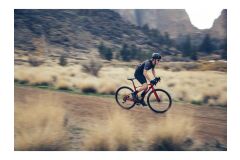 GIANT Revolt 1 Gravelbike 2024 | Grenadine