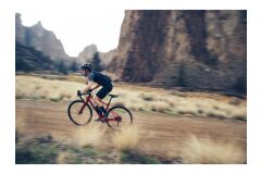 GIANT Revolt 1 Gravelbike 2024 | Grenadine