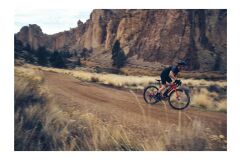 GIANT Revolt 1 Gravelbike 2024 | Grenadine