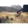 GIANT Revolt 1 Gravelbike 2024 | Grenadine
