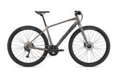 GIANT ToughRoad SLR 2 Crossrad 2025 | Metal