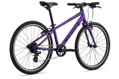 GIANT ARX 24 Kinderrad 2023 | Purple