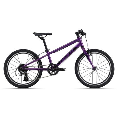 GIANT ARX 20 Kinderrad 2023 | Purple