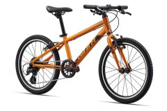 GIANT ARX 20 Kinderrad 2025 | Metallic Orange