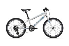 GIANT ARX 20 Kinderrad 2023 | Snow Drift