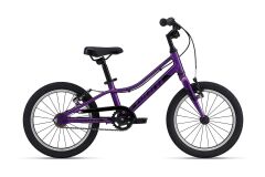GIANT ARX 16 Kinderrad 2024 | Purple
