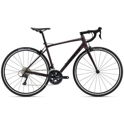 GIANT Contend 1 All-Rounder Rennrad 2024 | Rosewood | M